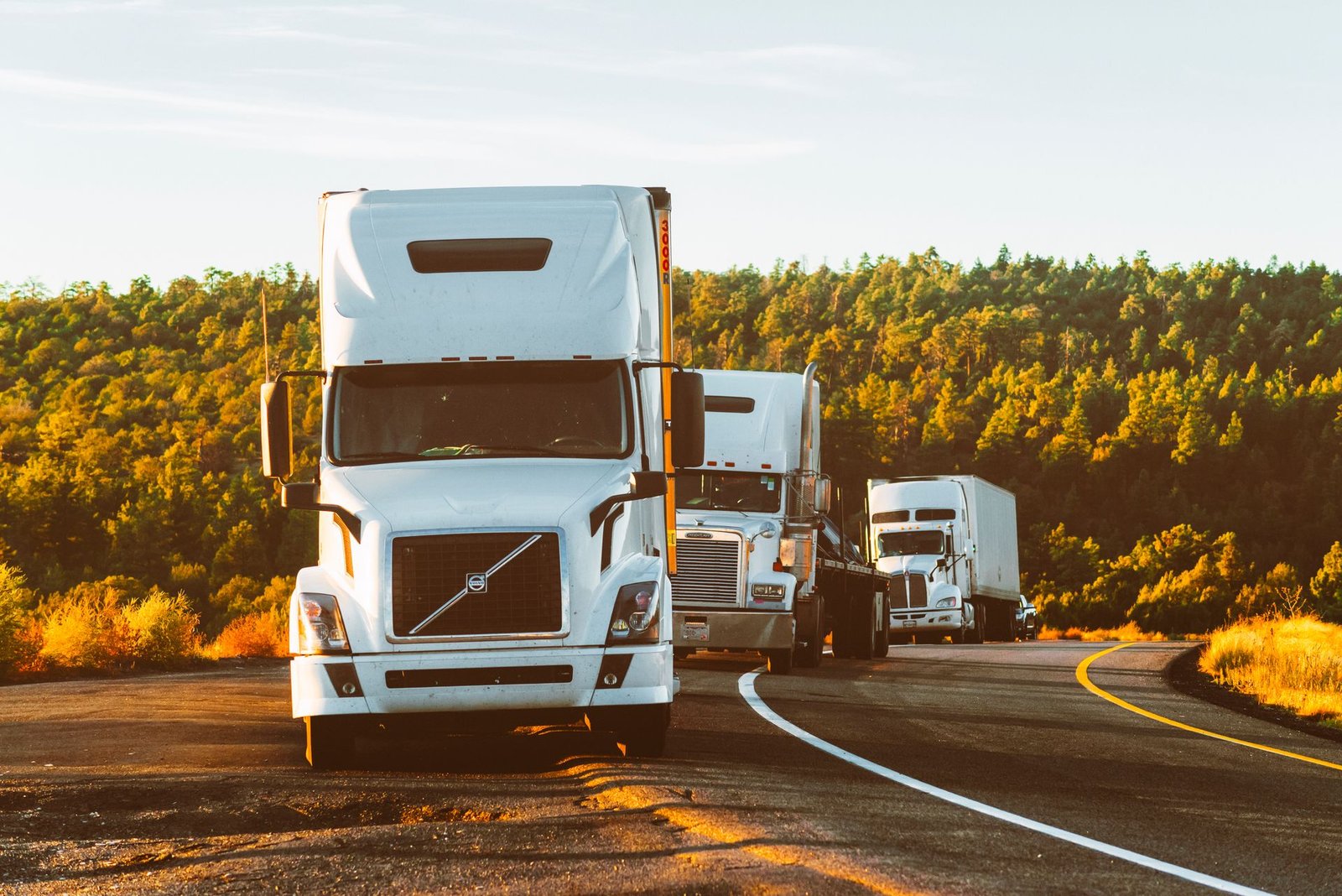 SP Transport semi trucks driving on a highway through a forested landscape